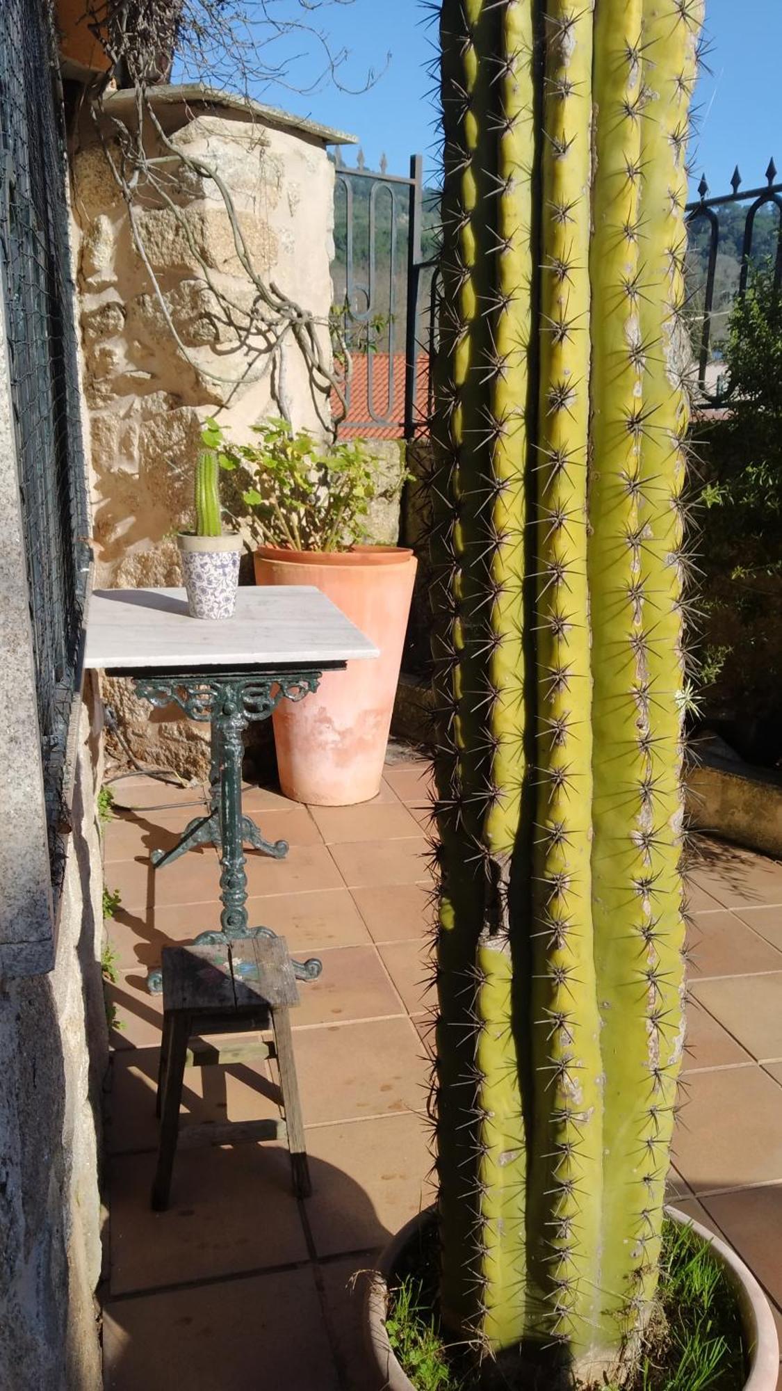 Casa Iriana - Parking Gratis I Jardin I Barbacoa Villa Ourense Eksteriør bilde
